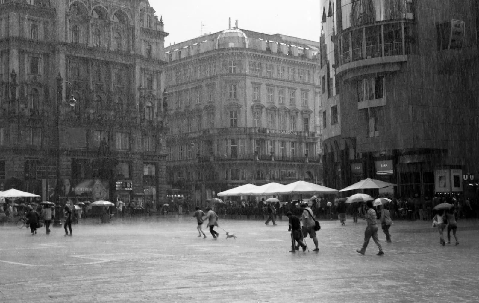 vienna 2010